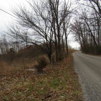 Upper Crab Road images 2