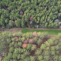 Hunting Land for Sale in Amite County