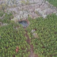 Hunting Land for Sale in Amite County images 2