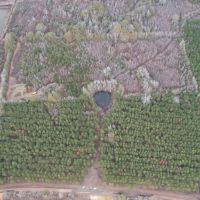 Hunting Land for Sale in Amite County images 3