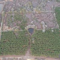 Hunting Land for Sale in Amite County images 4
