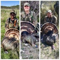 Kimble County