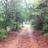 99.191 off Brunes Mill Road images 2