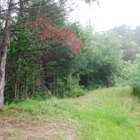 99.191 off Brunes Mill Road images 3