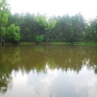 99.191 off Brunes Mill Road images 4