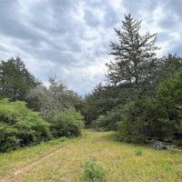 99.191 off Brunes Mill Road images 5