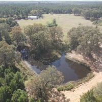 Morris County TX Hunting Recreational Ranch For SaleMorris County TX Hunting Recreational Ranch For Sale images 5