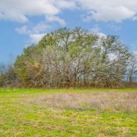 955 CR 138 Stephenville Texas 76401 images 4