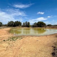 New Listing 120.5 - Acres Brown County