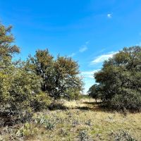New Listing 120.5 - Acres Brown County images 2