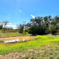 New Listing 120.5 - Acres Brown County images 4