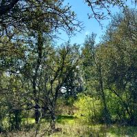 New Listing 120.5 - Acres Brown County images 5