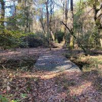 Turnkey 109 Acres for Sale in Clinton LA images 4