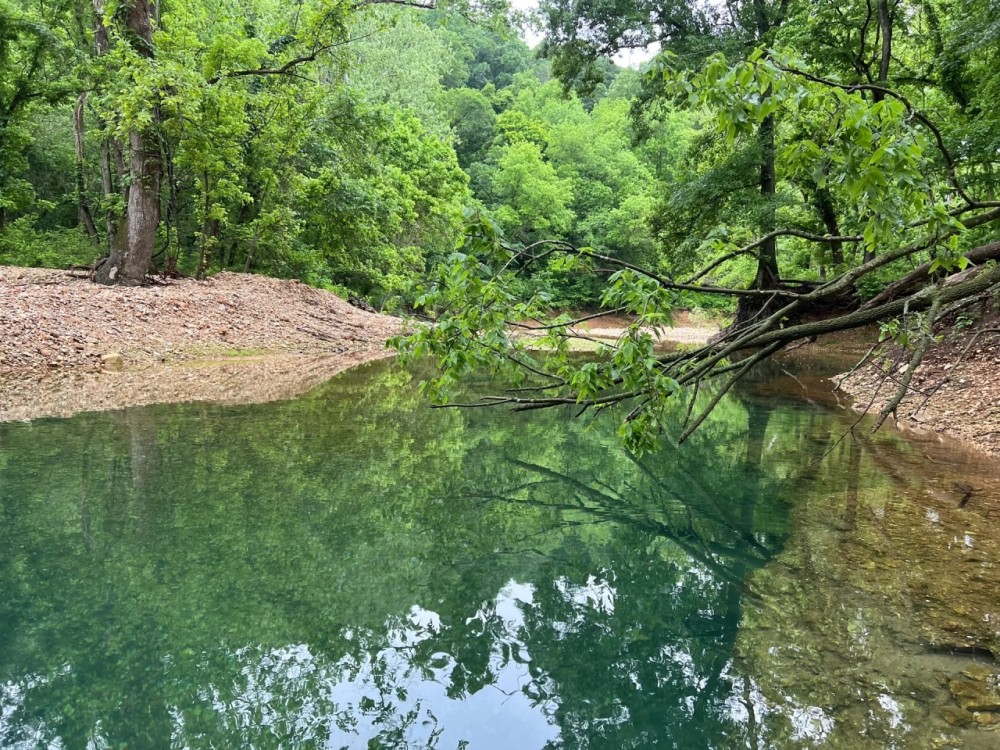 319 Acres In Delaware County featured image