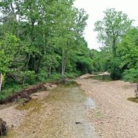 319 Acres In Delaware County images 3