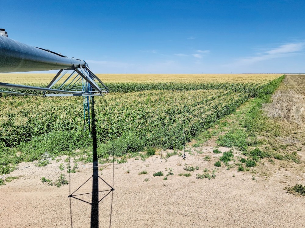 Melcher Irrigated Farm For Sale featured image