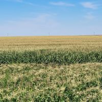 Melcher Irrigated Farm For Sale images 5
