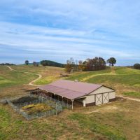 Mountain View Farm- 297 - acres images 5