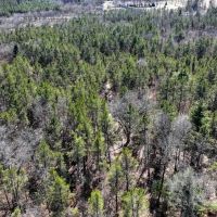 Gently Rolling Forest Sparta WI images 4