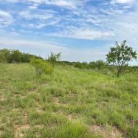 New Listing 10.5 Acres Tract 10 Callahan County images 2