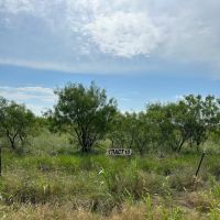 New Listing 10.5 Acres Tract 10 Callahan County images 3