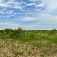 New Listing 10.5 Acres Tract 10 Callahan County images 4