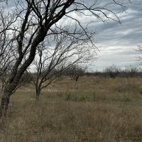 New Listing 10.5 Acres Tract 10 Callahan County images 5