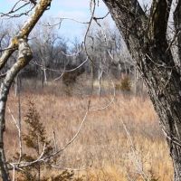 Canadian River Oxbow- 100 Acres images 2