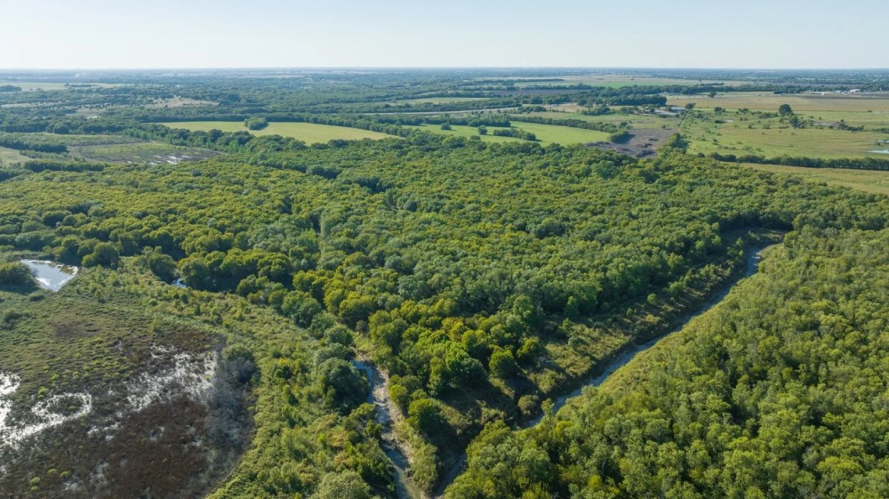 TX Recreational Land for Sale Palmer Ellis Co South of DFW featured image