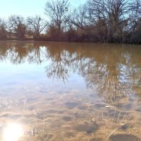 New Listing 157.5 - Acres Comanche County