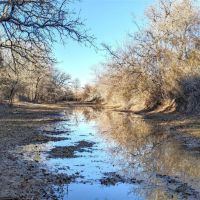 New Listing 157.5 - Acres Comanche County images 4