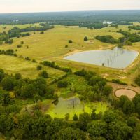 White Oak Cattle East Ranch images 2