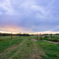 White Oak Cattle East Ranch images 3