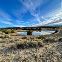 A Lazy A Ranch images 2