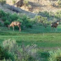 A Lazy A Ranch images 4