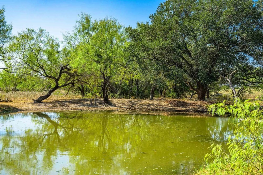 Medina County 3 Bar D Ranch South W of Yancey featured image