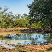 Medina County 3 Bar D Ranch South W of Yancey images 3