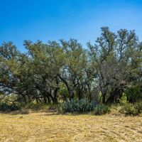 Medina County 3 Bar D Ranch South W of Yancey images 4