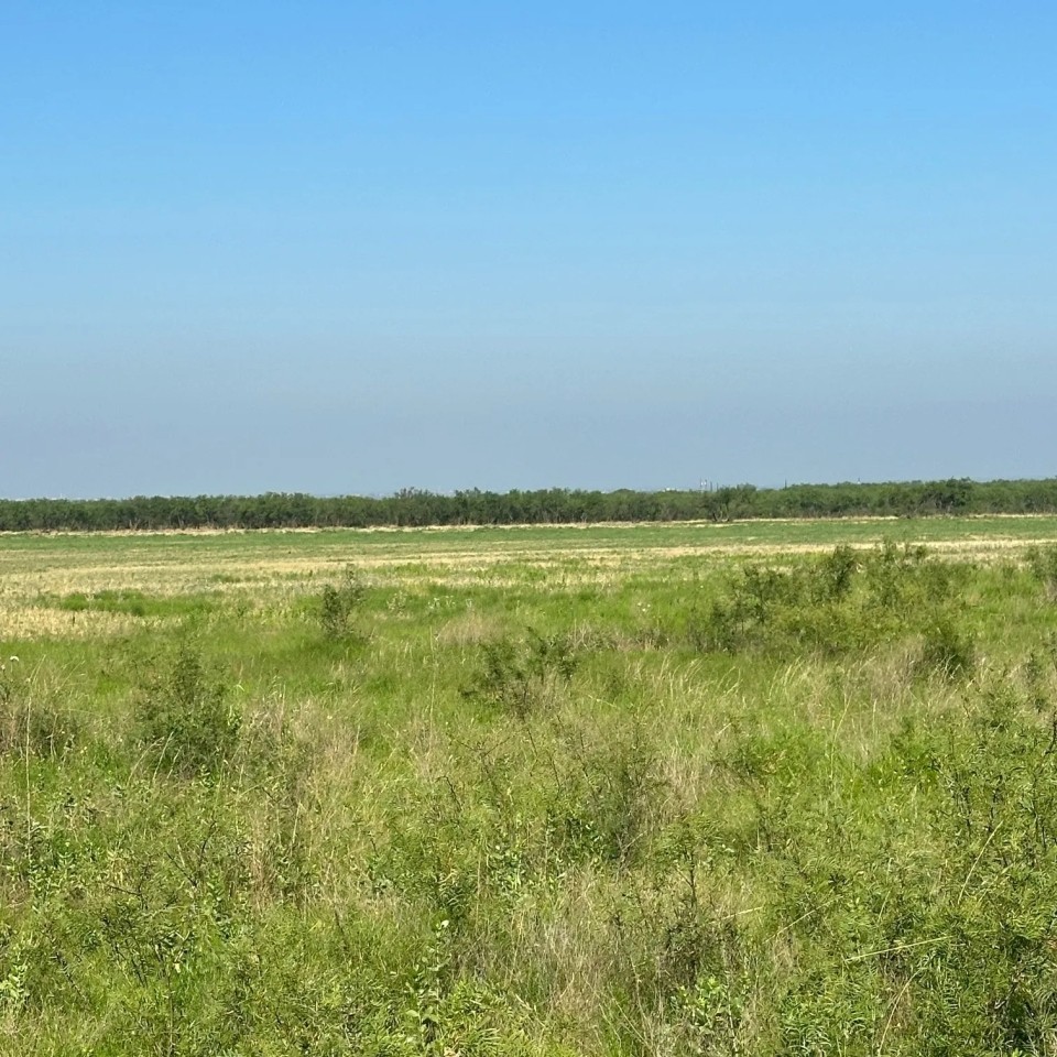 New Listing 31.036 Acres Tract 24 Callahan County featured image