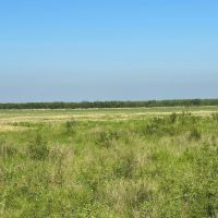 New Listing 31.036 Acres Tract 24 Callahan County