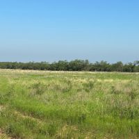 New Listing 31.036 Acres Tract 24 Callahan County images 2