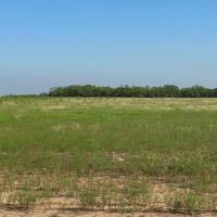 New Listing 31.036 Acres Tract 24 Callahan County images 4