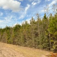 21 Acres T-5 FM 1746 images 3