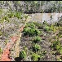 33.5 Acres in Neshoba County in Philadephia MS images 3