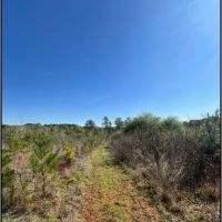 33.5 Acres in Neshoba County in Philadephia MS images 5