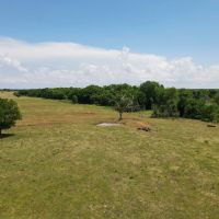 Ranch for Sale in Waurika OK images 4