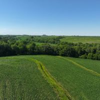 151.99 taxable acres Fremont County Iowa images 5