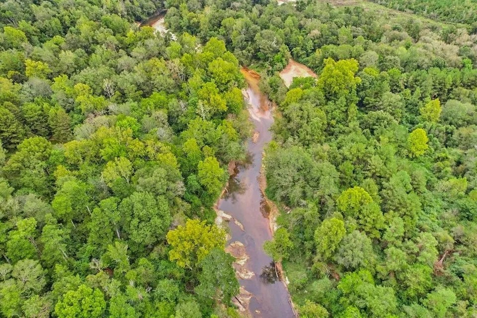 685 Acres Leaf Riverfront Land for Sale Covington Co. MS featured image