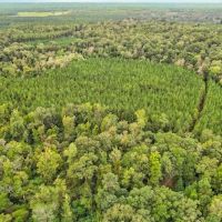 685 Acres Leaf Riverfront Land for Sale Covington Co. MS images 2
