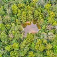 685 Acres Leaf Riverfront Land for Sale Covington Co. MS images 3